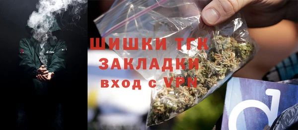 дживик Няндома