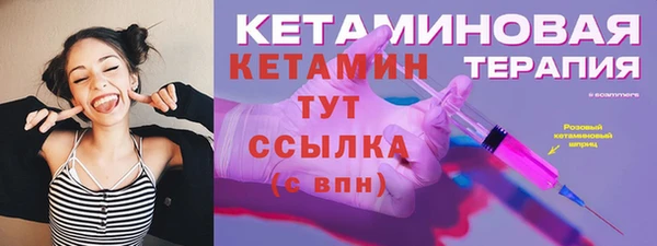 дживик Няндома