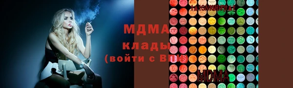 индика Долгопрудный