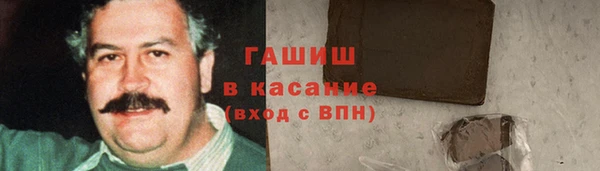 мдпв Ельня