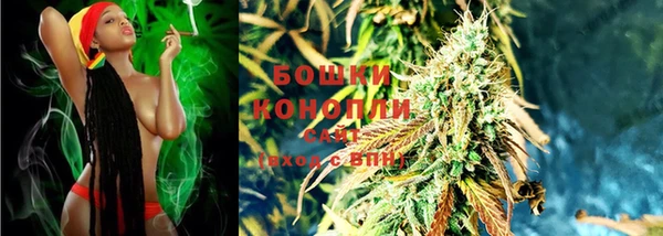прущие грибы Нягань
