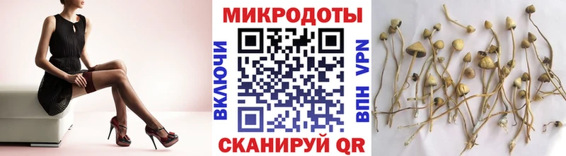 Галлюциногенные грибы прущие грибы  Приволжск 